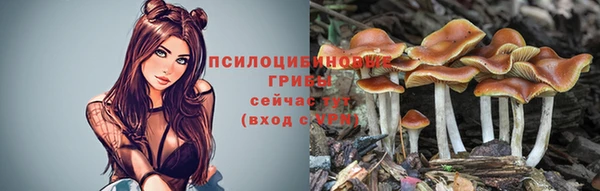 ALPHA-PVP Белокуриха