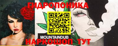 молекула духа Рязань
