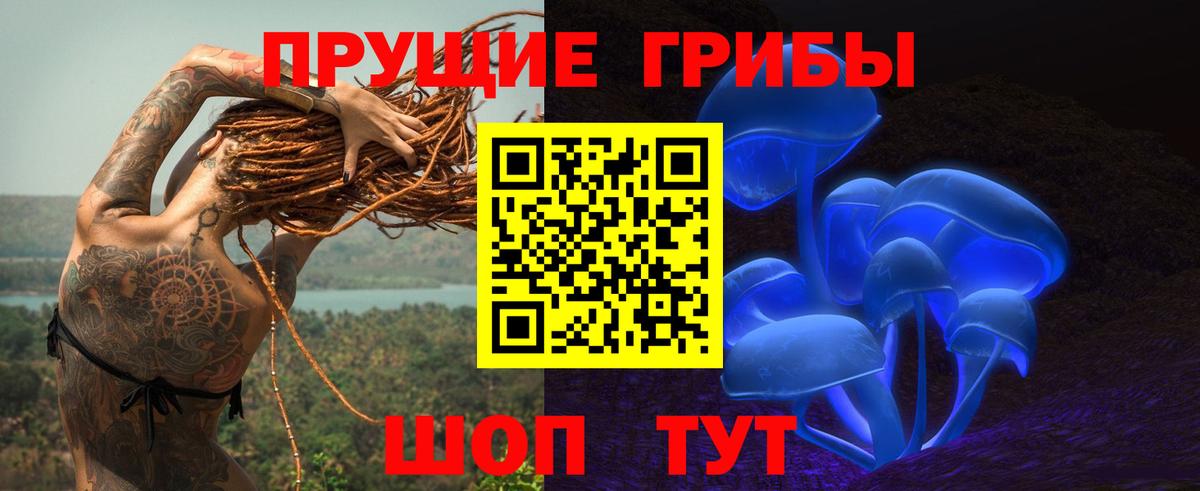 Бутурлиновка  Псилоцибиновые грибы Psilocybe  Вход с VPN  Галлюциногенные грибы ЛСД 